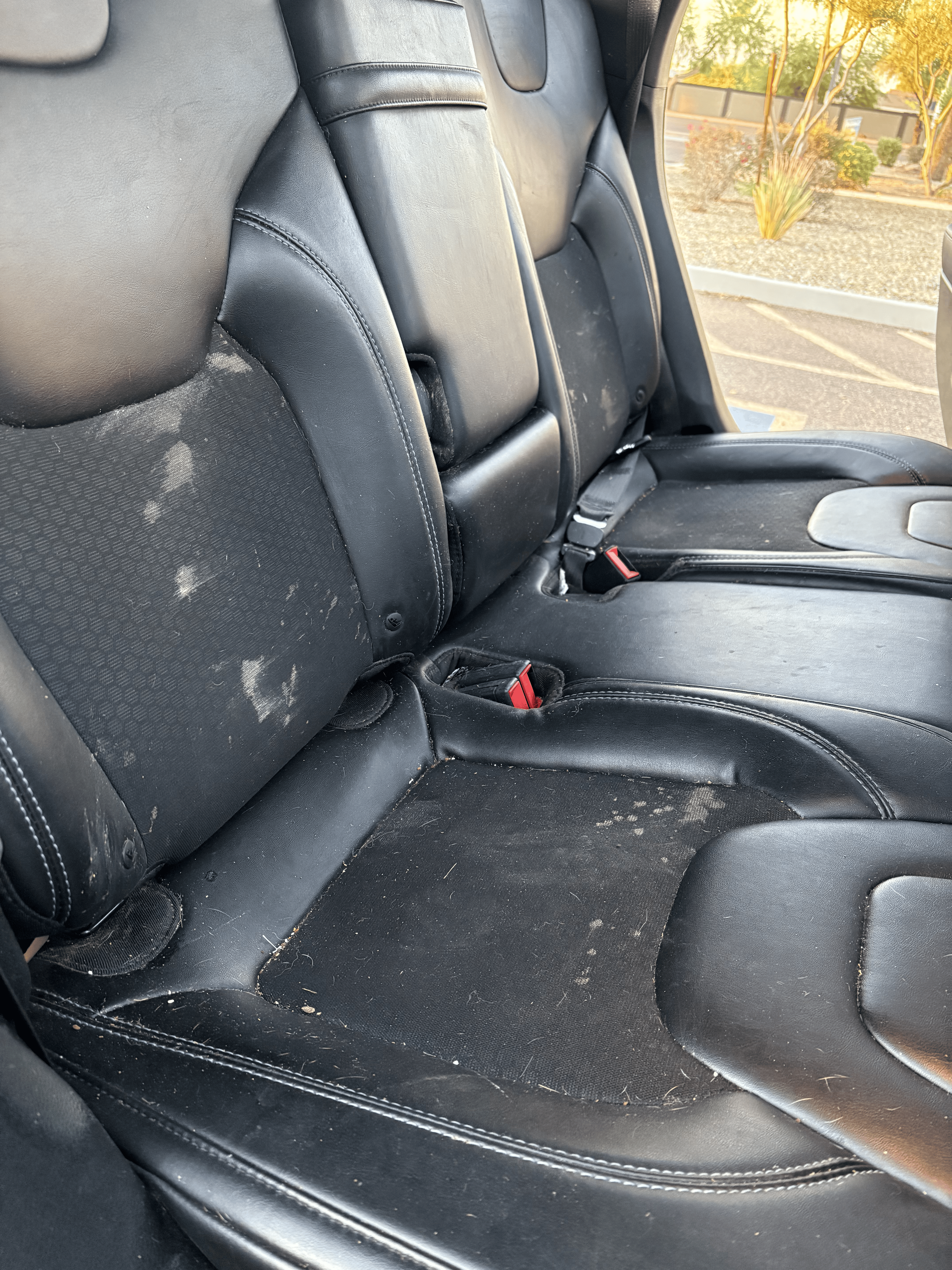 Backseat Before
